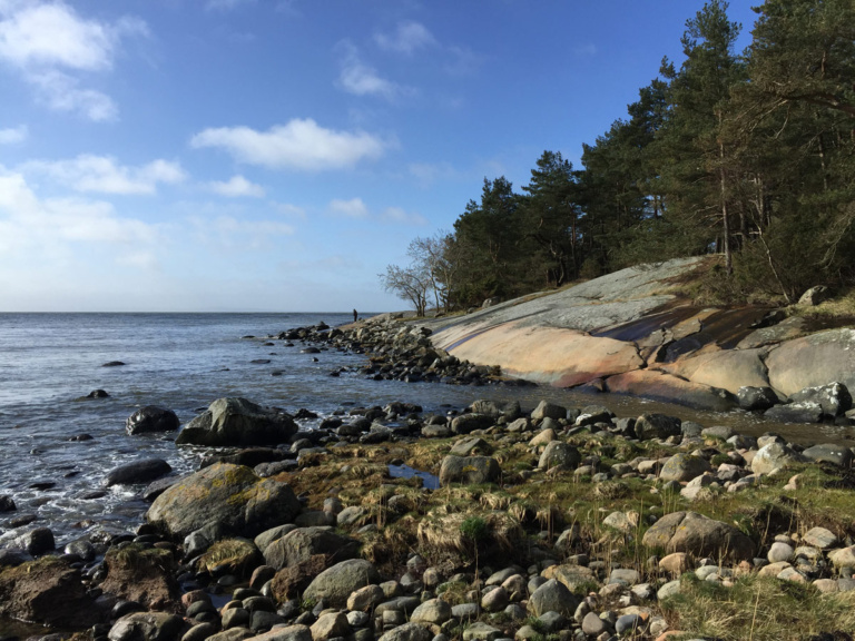 Küste Halmstad Fischen, Angeln Meerforele Dorsch