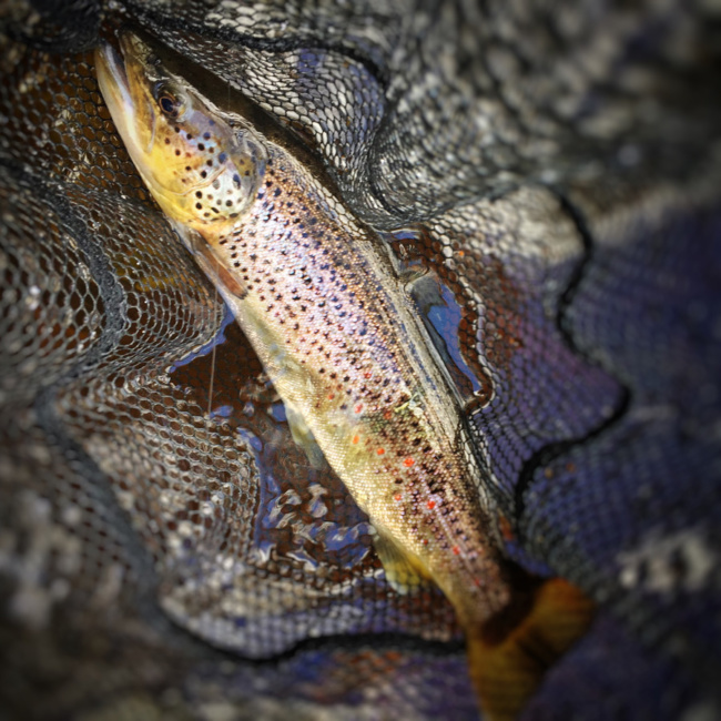 2015-05-21-11.40.41-2