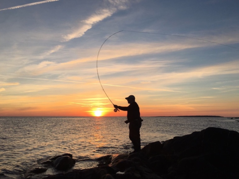 Auf Meerforellen in Halmstad