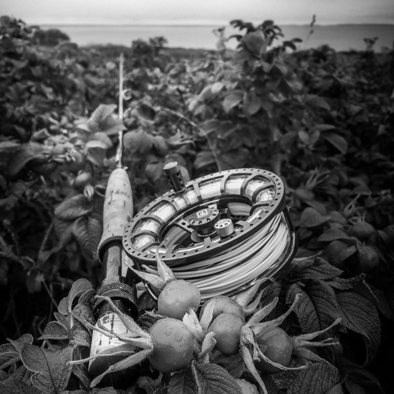 Meerforellen Fliegenrute