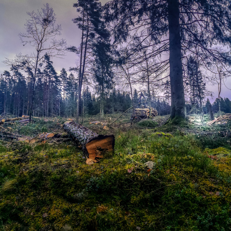 Gearbeitet wird wie bei uns von 8.00 bis 17.00 - und wenn es dunkel wird mit Flutlicht.