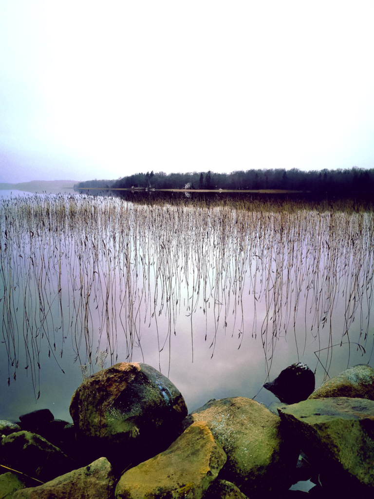 Mein Lieblingssee für Hecht und Zander der Exen im Januar