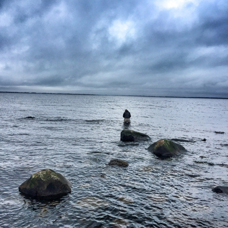 Meerforellen Angeln - durchhalten bringt den Erfolg