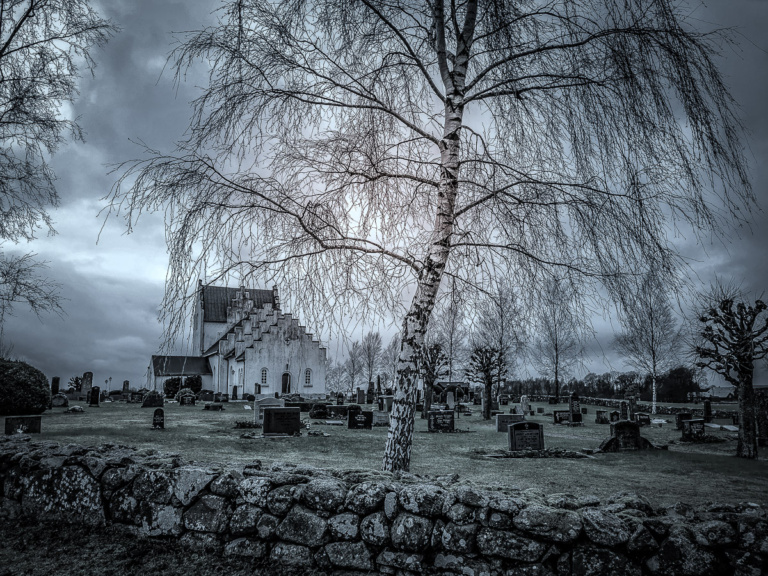 Wundervolle Stimmung am Nachmittag im Januar